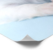 Cavalier King Charles Spaniel Puppy Poster (Hoek)