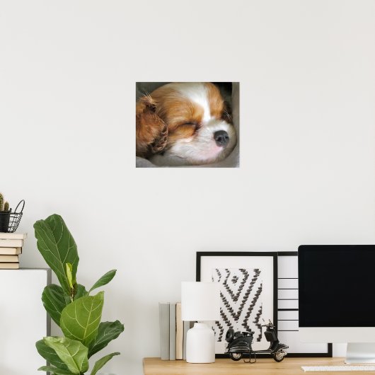 Cavalier King Charles Spaniel Puppy Poster (Thuiskantoor)