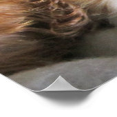 Cavalier King Charles Spaniel Puppy Poster (Hoek)