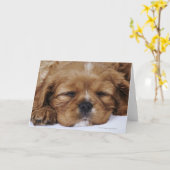 Cavalier King Charles Spaniel puppy slapen Kaart (Gele Bloem)
