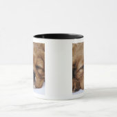 Cavalier King Charles Spaniel puppy slapen Mok (Midden)