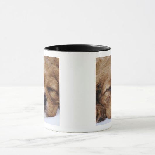 Cavalier King Charles Spaniel puppy slapen Mok (Midden)