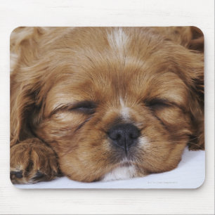 Cavalier King Charles Spaniel puppy slapen Muismat