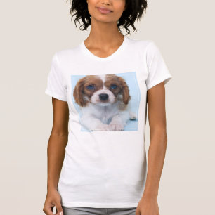 Cavalier King Charles Spaniel Puppy T-shirt