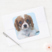 Cavalier King Charles Spaniel Puppy Vierkante Sticker (Envelop)