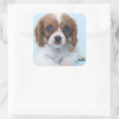 Cavalier King Charles Spaniel Puppy Vierkante Sticker (Tas)