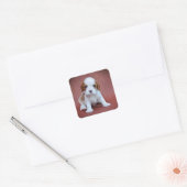 Cavalier King Charles Spaniel puppy Vierkante Sticker (Envelop)