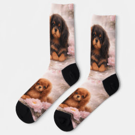 Cavalier King Charles Spaniel-puppy's in de lente  Sokken
