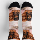 Cavalier King Charles Spaniel-puppy's in de lente Sokken (Top)