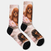Cavalier King Charles Spaniel-puppy's in de lente Sokken (Rechts)