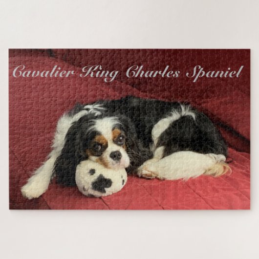 Cavalier King Charles Spaniel Puzzle Legpuzzel (Horizontaal)
