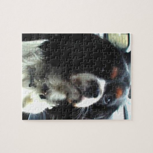 Cavalier King Charles Spaniel Puzzle Legpuzzel (Horizontaal)