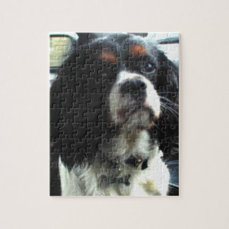 Cavalier King Charles Spaniel Puzzle Legpuzzel