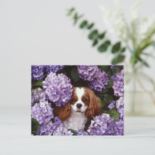 Cavalier King Charles Spaniel Red en White Briefkaart (Staand voorkant)