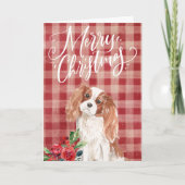 Cavalier King Charles Spaniel Red Plaid Christmas Feestdagen Kaart (Voorkant)