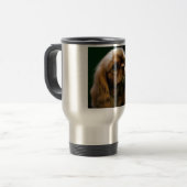 Cavalier King Charles Spaniel Reisbeker (Voorkant links)