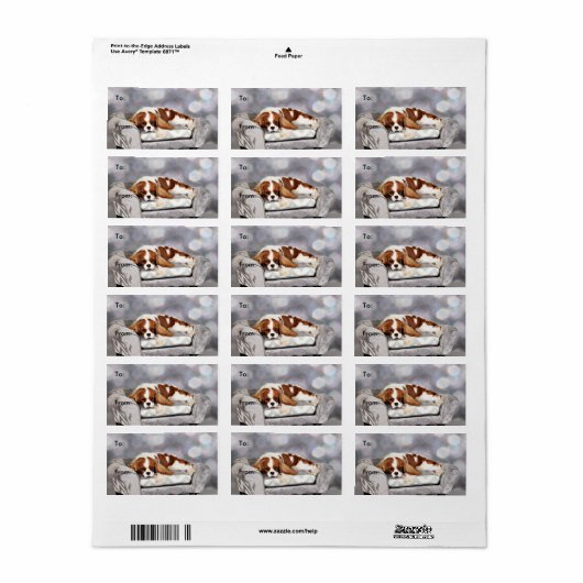 Cavalier King Charles Spaniel - Remington Etiket (Full Sheet)