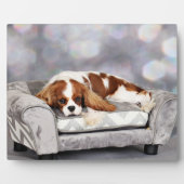 Cavalier King Charles Spaniel - Remington Fotoplaat (Voorkant)