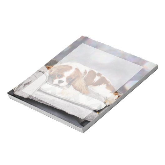 Cavalier King Charles Spaniel - Remington Notitieblok (Linkerzijde)