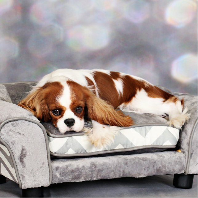 Cavalier King Charles Spaniel - Remington Staand Fotobeeldje (Voorkant)