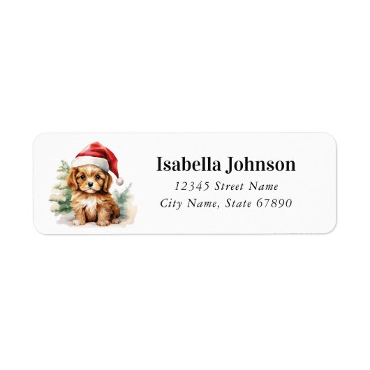 Cavalier King Charles Spaniel Retouradreslabel Etiket (Voorkant)