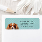 Cavalier King Charles Spaniel Retouradreslabel Etiket (Insitu)