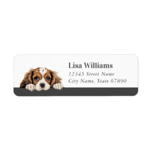 Cavalier King Charles Spaniel Retouradreslabel Etiket