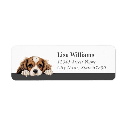 Cavalier King Charles Spaniel Retouradreslabel Etiket (Voorkant)