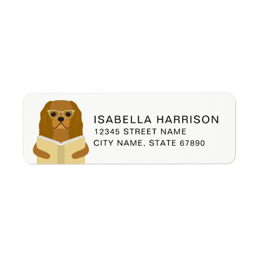 Cavalier King Charles Spaniel Retouradreslabel Etiket (Voorkant)
