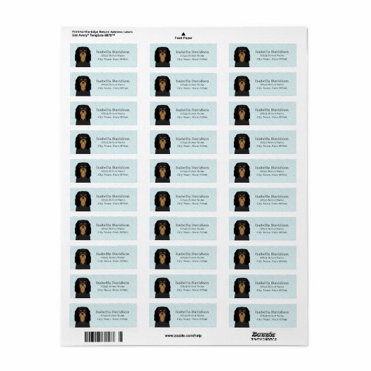 Cavalier King Charles Spaniel Return Address Label (Full Sheet)