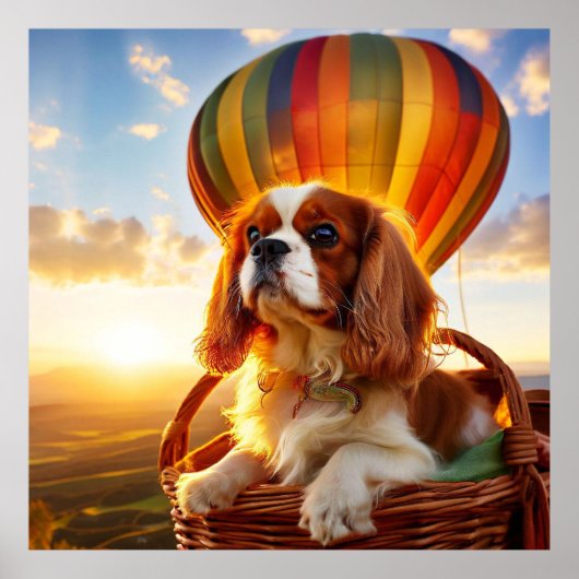 Cavalier King Charles Spaniel Riding a Hot Ballon Poster (Voorkant)