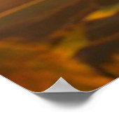 Cavalier King Charles Spaniel rijdt op een hete lu Poster (Hoek)