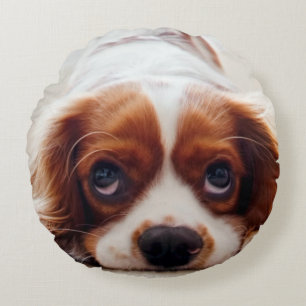 Cavalier King Charles Spaniel Rond Kussen