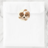 Cavalier King Charles Spaniel Ronde Sticker (Tas)