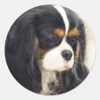 Cavalier King Charles Spaniel Ronde Sticker