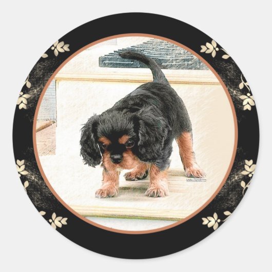 Cavalier King Charles Spaniel Ronde Sticker (Voorkant)