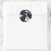 Cavalier King Charles Spaniel Ronde Sticker (Tas)