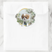 Cavalier King Charles Spaniel Ronde Sticker (Tas)