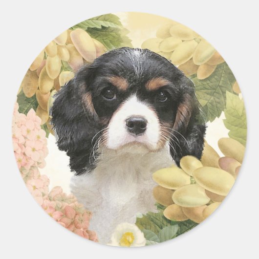 Cavalier King Charles Spaniel Ronde Sticker (Voorkant)
