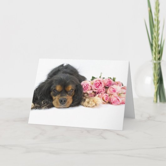 Cavalier King Charles Spaniel Roze Rozen Hondendek Kaart (Voorkant)