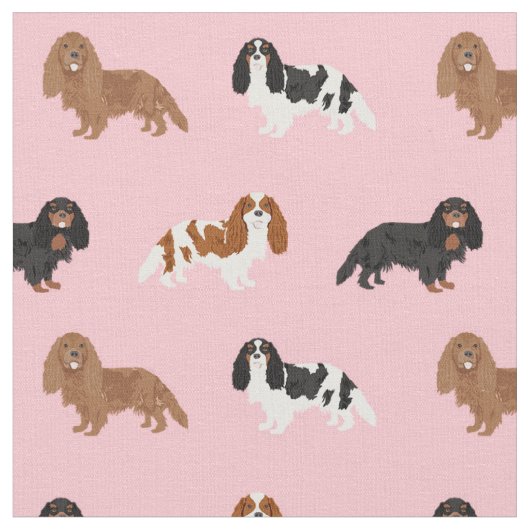Cavalier King Charles Spaniel roze Stof (Close Up)