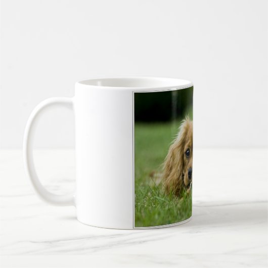 Cavalier King Charles Spaniel Ruby Koffiemok (Links)