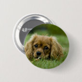 Cavalier King Charles Spaniel Ruby Ronde Button 5,7 Cm (Voorkant /achterkant)