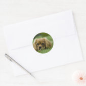 Cavalier King Charles Spaniel Ruby Ronde Sticker (Envelop)