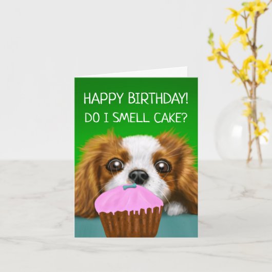 Cavalier King Charles Spaniel: "Ruik ik ik er wel Kaart (Gele Bloem)