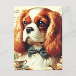 Cavalier King Charles Spaniel Schilderij Briefkaart
