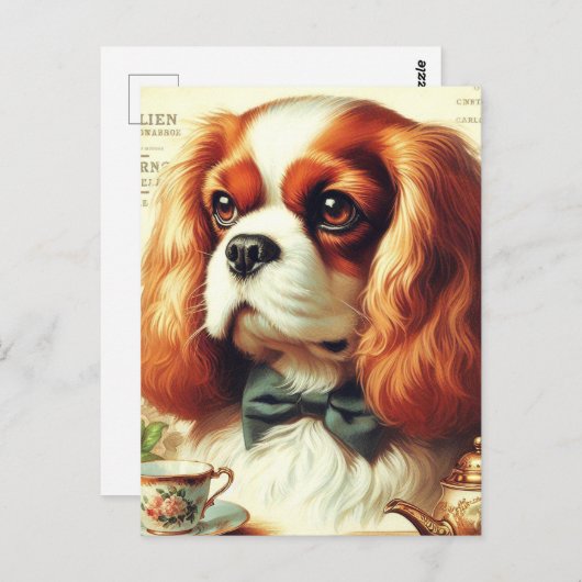 Cavalier King Charles Spaniel Schilderij Briefkaart (Voorkant / Achterkant)