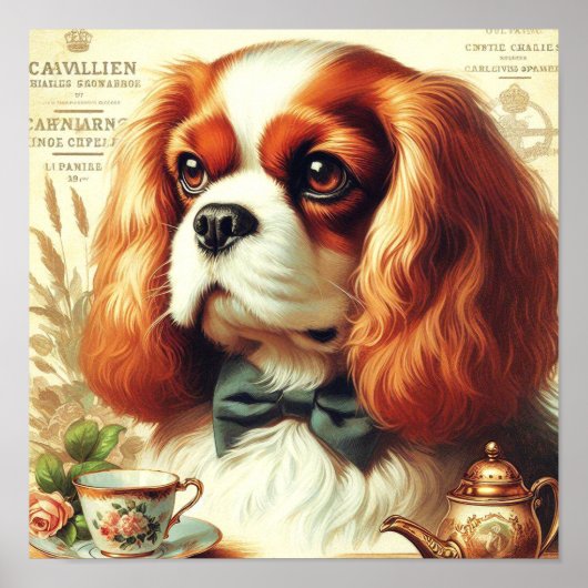 Cavalier King Charles Spaniel Schilderij Poster (Voorkant)