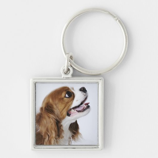 Cavalier King Charles Spaniel Sleutelhanger (Voorkant)