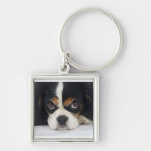 Cavalier King Charles Spaniel Sleutelhanger Tri-Co